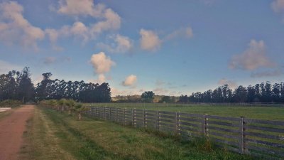 chacra en venta de 6 hectareas  en la pataia , maldonado  - ndm20339h