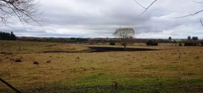 chacra en venta de 8 hectáreas en ruta 39 , - ndm18250h