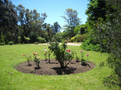 espectacular chacra en venta en excelente ubicación,. - ndm22428h