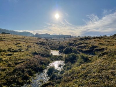 disfrute de la tranquilidad rodeado de paisaje unico - ndm12171h