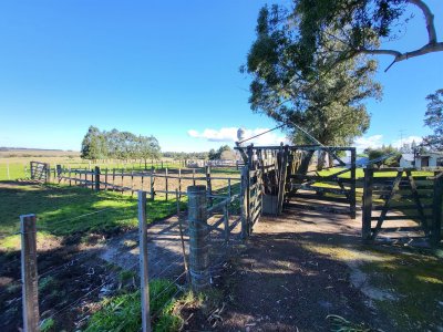 vende chacra de 108 hectareas con casa de 6 dormitorios en pueblo eden. - ndm23032h