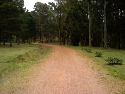 espectacular chacra en venta en excelente ubicación,. - ndm22428h