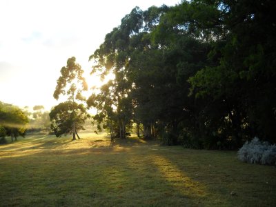 espectacular chacra en venta en excelente ubicación,. - ndm22428h