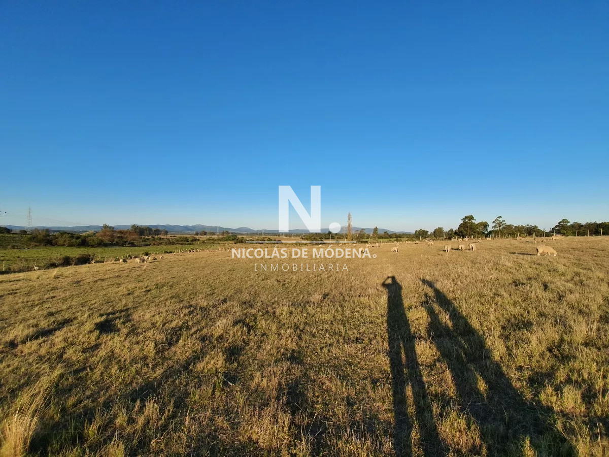 Vende chacra de 3,6 hectareas en Capilla de Cella - NDM22067H