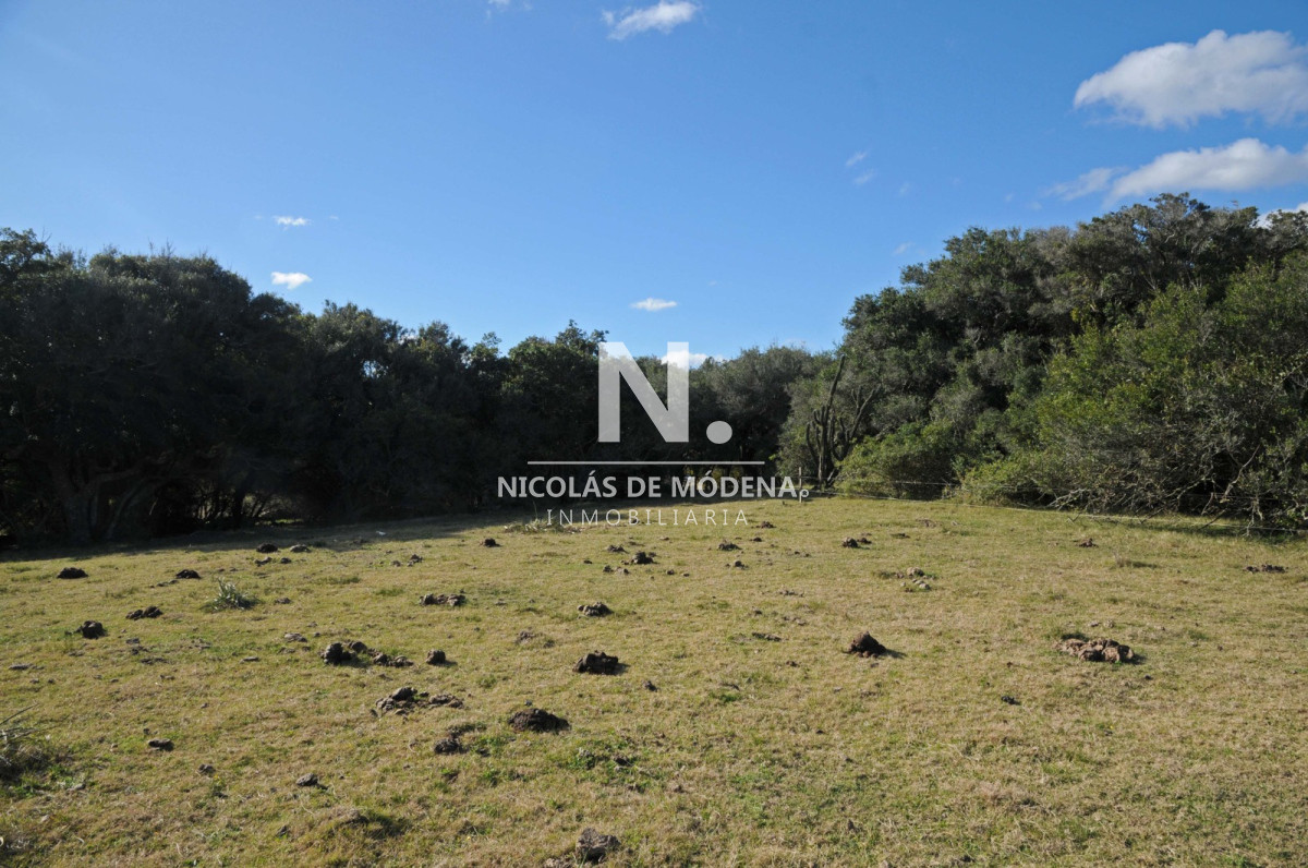 Laguna Garzón - GoPunta - Portal Inmobiliario de Punta del Este - Maldonado