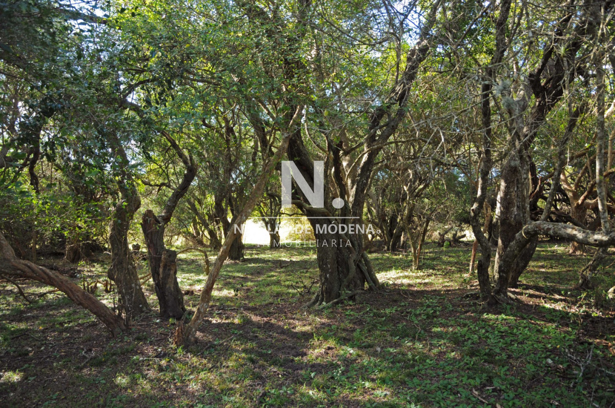Laguna Garzón - GoPunta - Portal Inmobiliario de Punta del Este - Maldonado