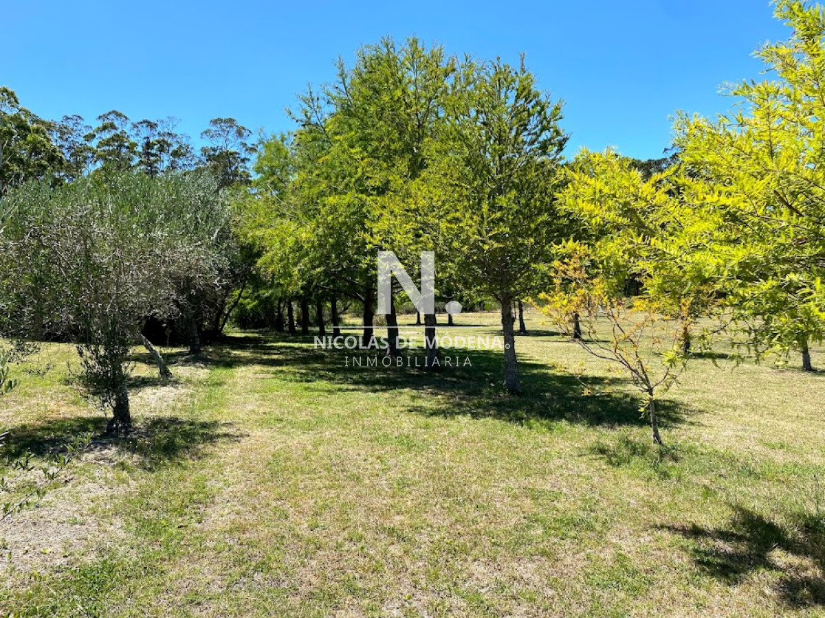 Chacra