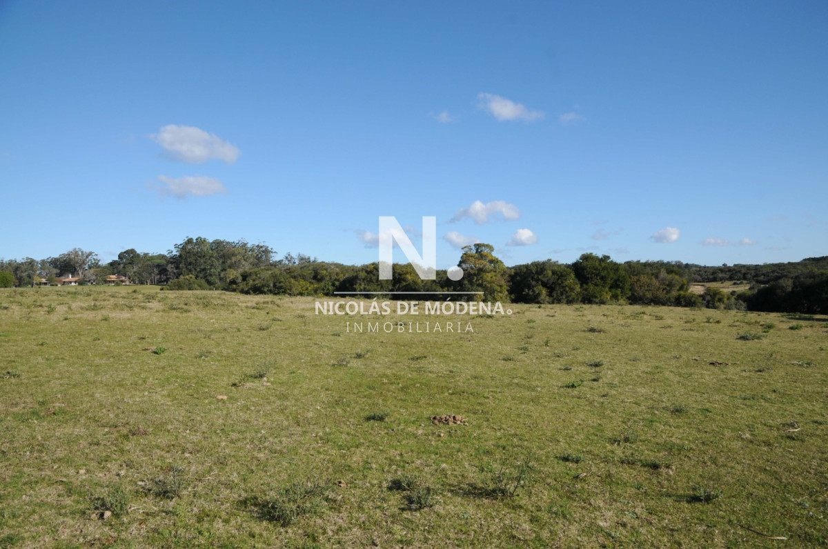 Laguna Garzón - GoPunta - Portal Inmobiliario de Punta del Este - Maldonado