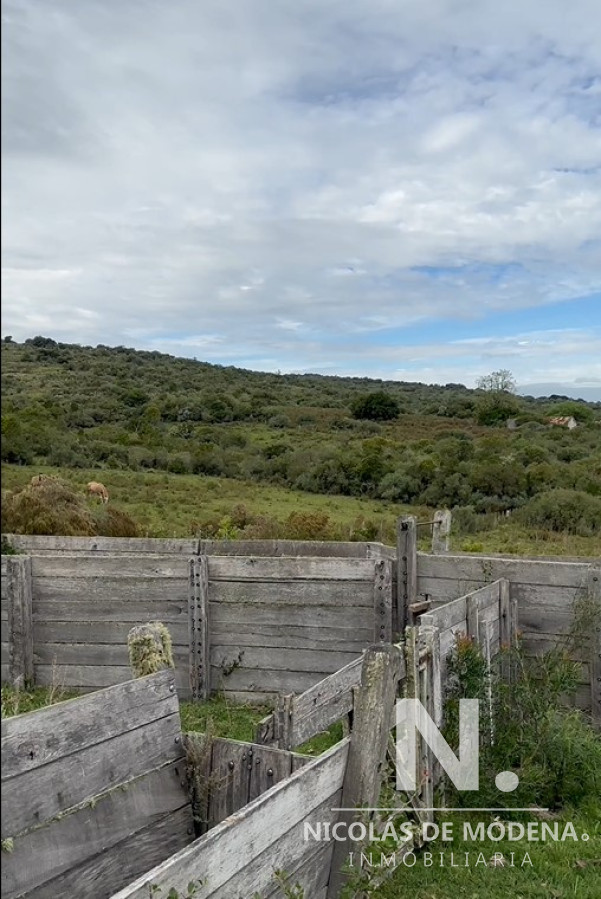 Aiguá - GoPunta - Portal Inmobiliario de Punta del Este - Maldonado