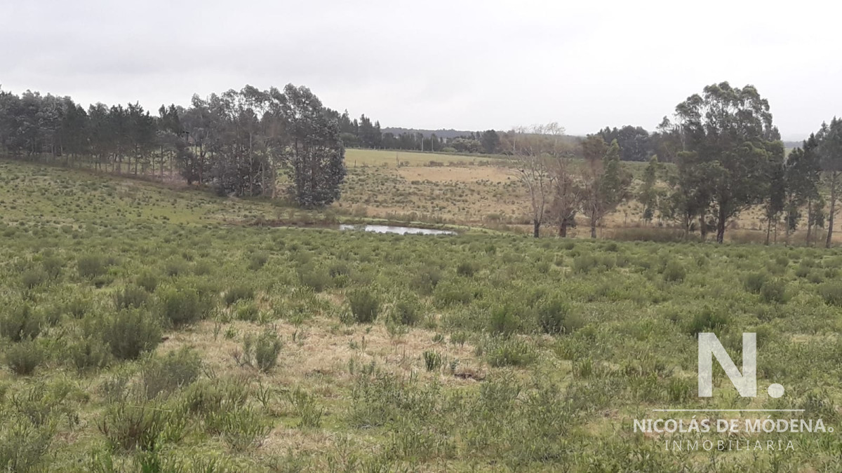 Pueblo Eden - GoPunta - Portal Inmobiliario de Punta del Este - Maldonado