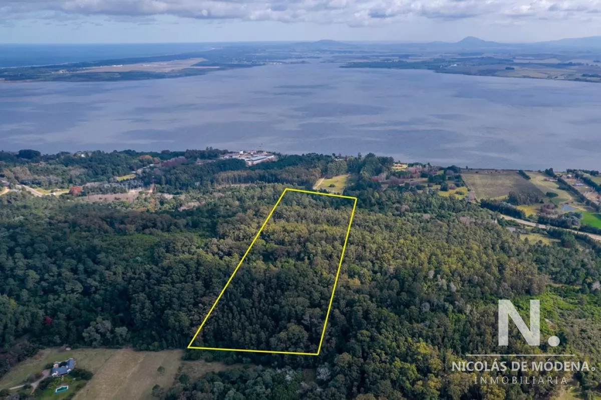 Laguna del Sauce - GoPunta - Portal Inmobiliario de Punta del Este - Maldonado