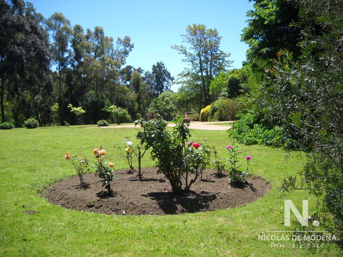 Punta Ballena - GoPunta - Portal Inmobiliario de Punta del Este - Maldonado