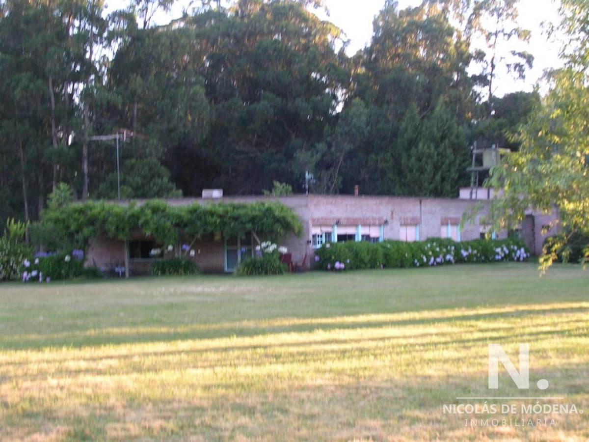 Camino Lussich - GoPunta - Portal Inmobiliario de Punta del Este - Maldonado
