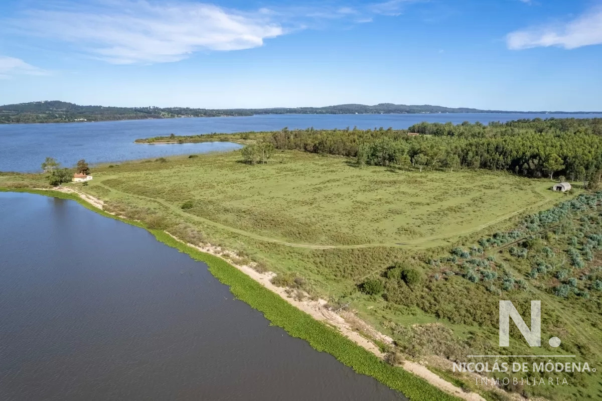 Laguna del Sauce - GoPunta - Portal Inmobiliario de Punta del Este - Maldonado