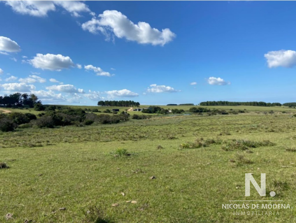 José Ignacio - GoPunta - Portal Inmobiliario de Punta del Este - Maldonado