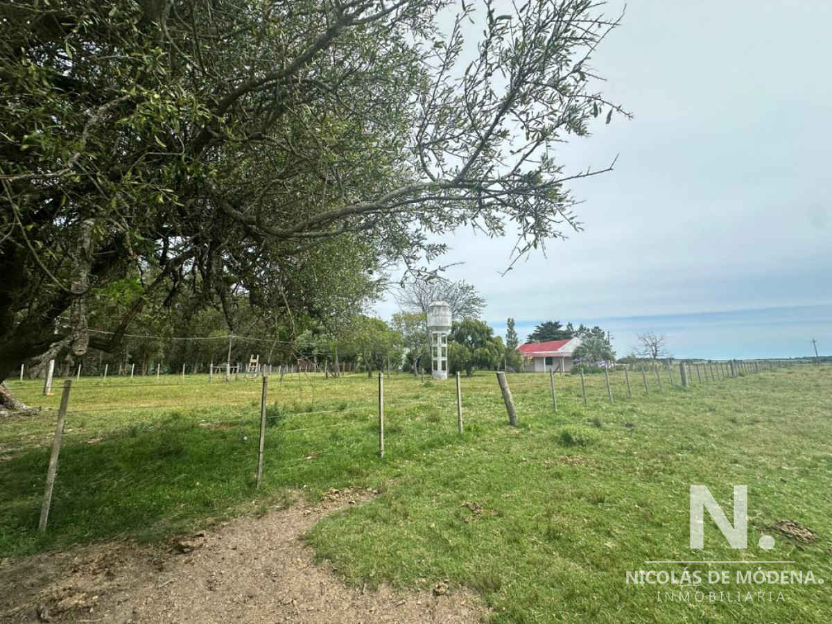 Pan de Azucar - GoPunta - Portal Inmobiliario de Punta del Este - Maldonado