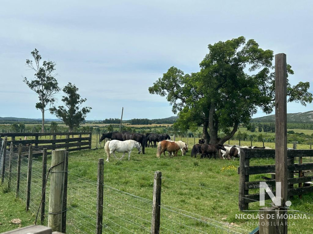 Pan de Azucar - GoPunta - Portal Inmobiliario de Punta del Este - Maldonado
