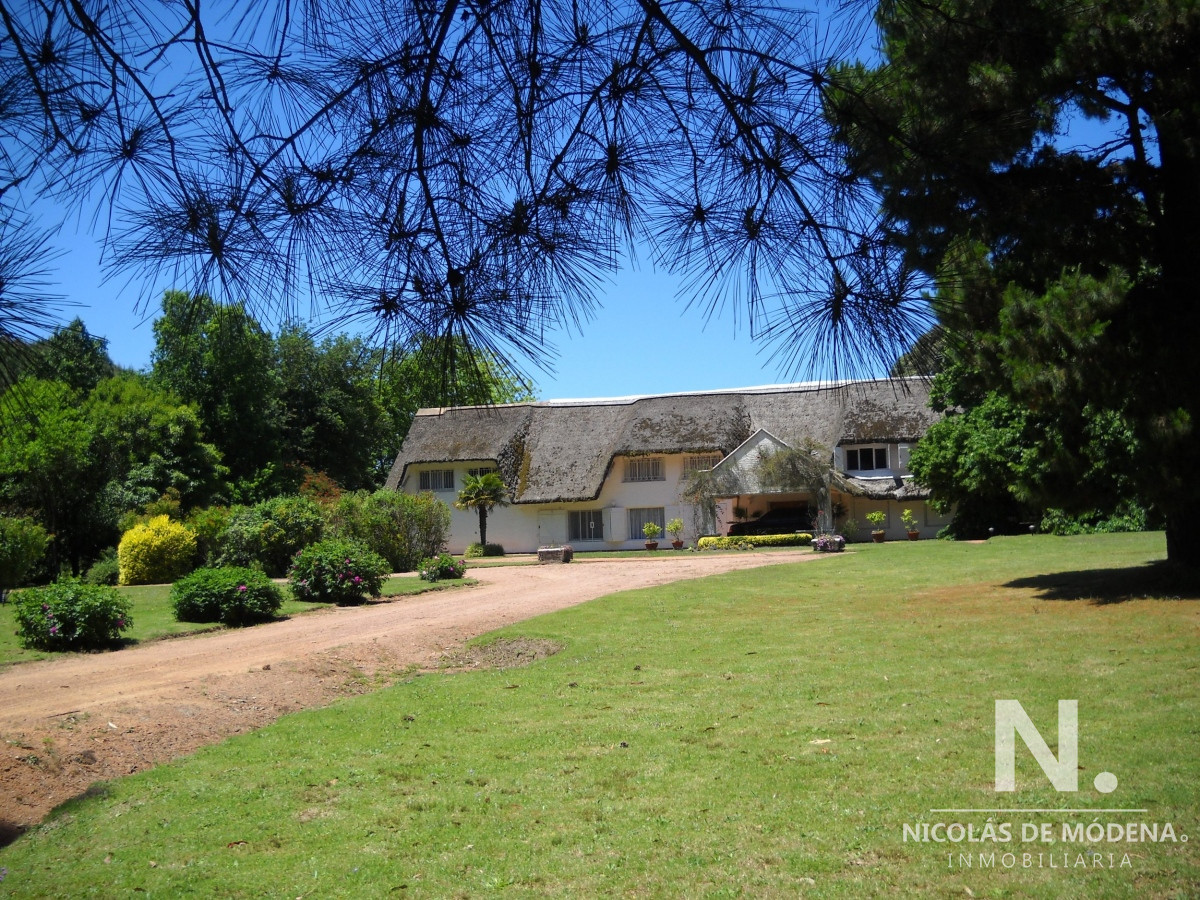 Punta Ballena - GoPunta - Portal Inmobiliario de Punta del Este - Maldonado