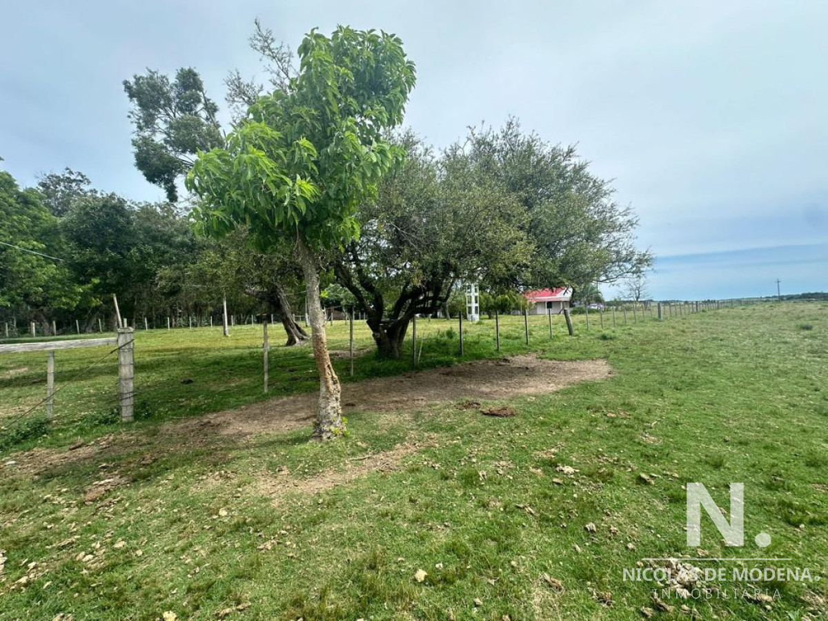Pan de Azucar - GoPunta - Portal Inmobiliario de Punta del Este - Maldonado