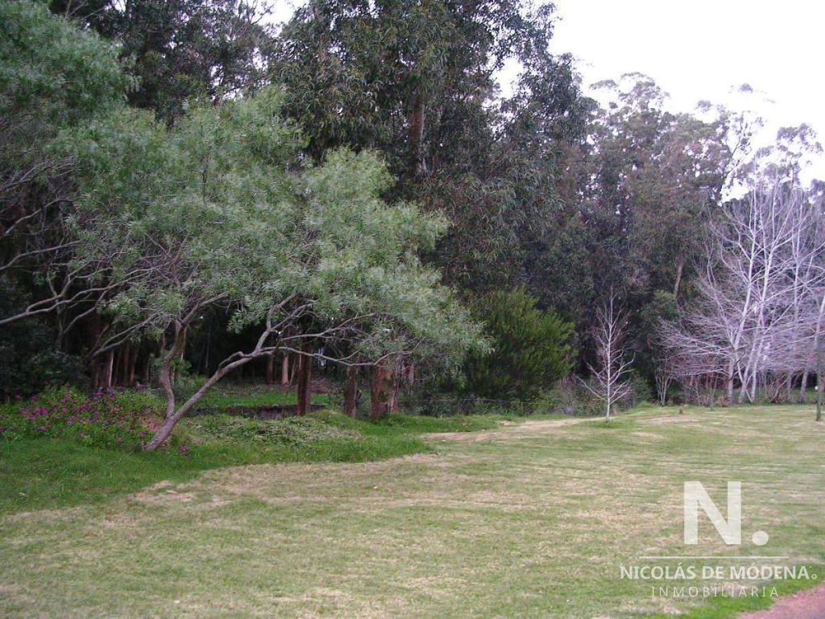 Camino Lussich - GoPunta - Portal Inmobiliario de Punta del Este - Maldonado