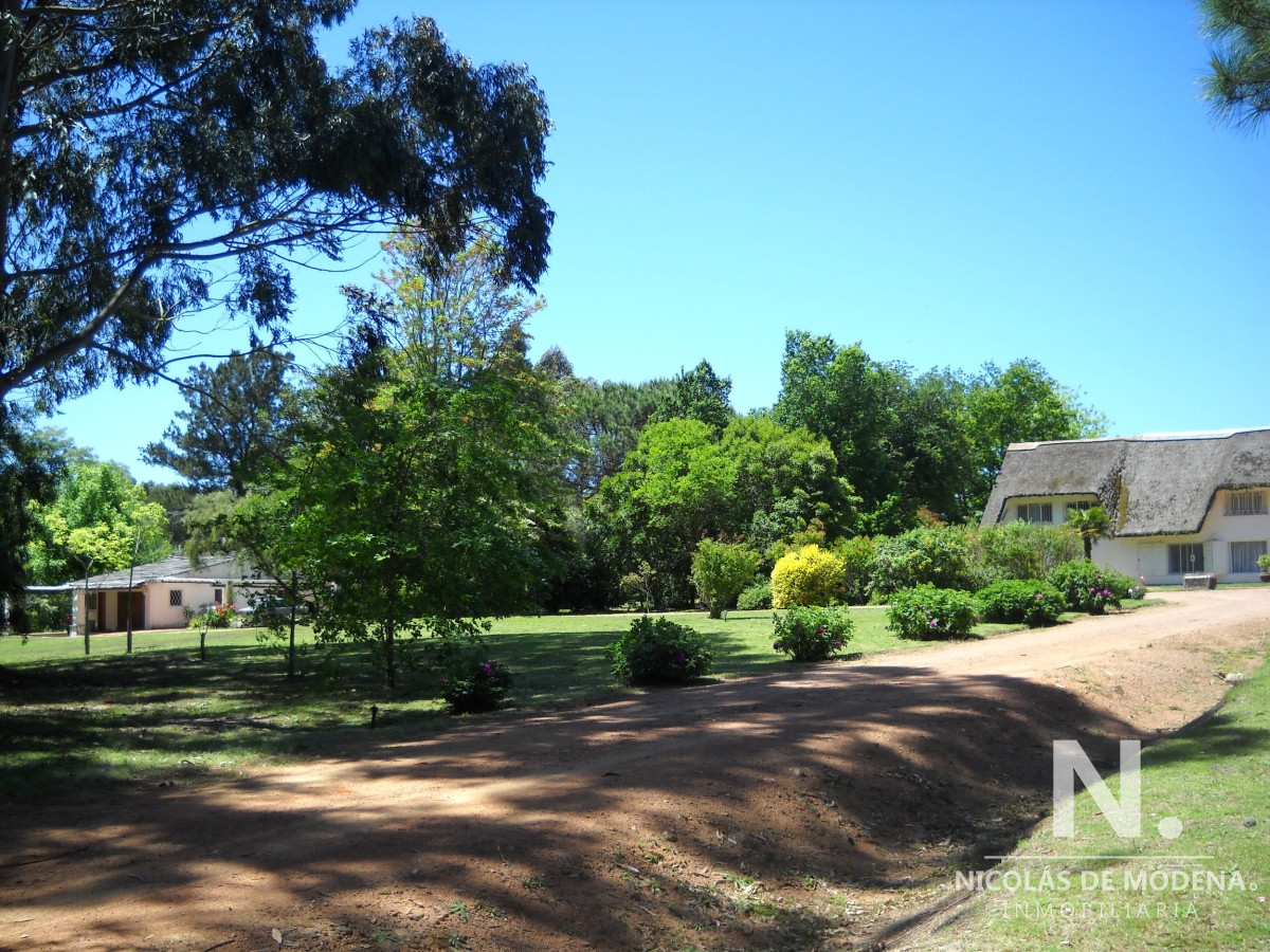 Punta Ballena - GoPunta - Portal Inmobiliario de Punta del Este - Maldonado