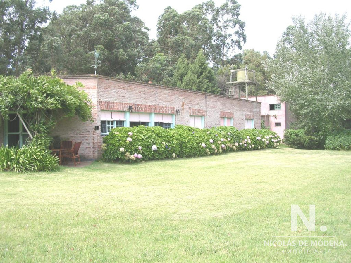 Camino Lussich - GoPunta - Portal Inmobiliario de Punta del Este - Maldonado