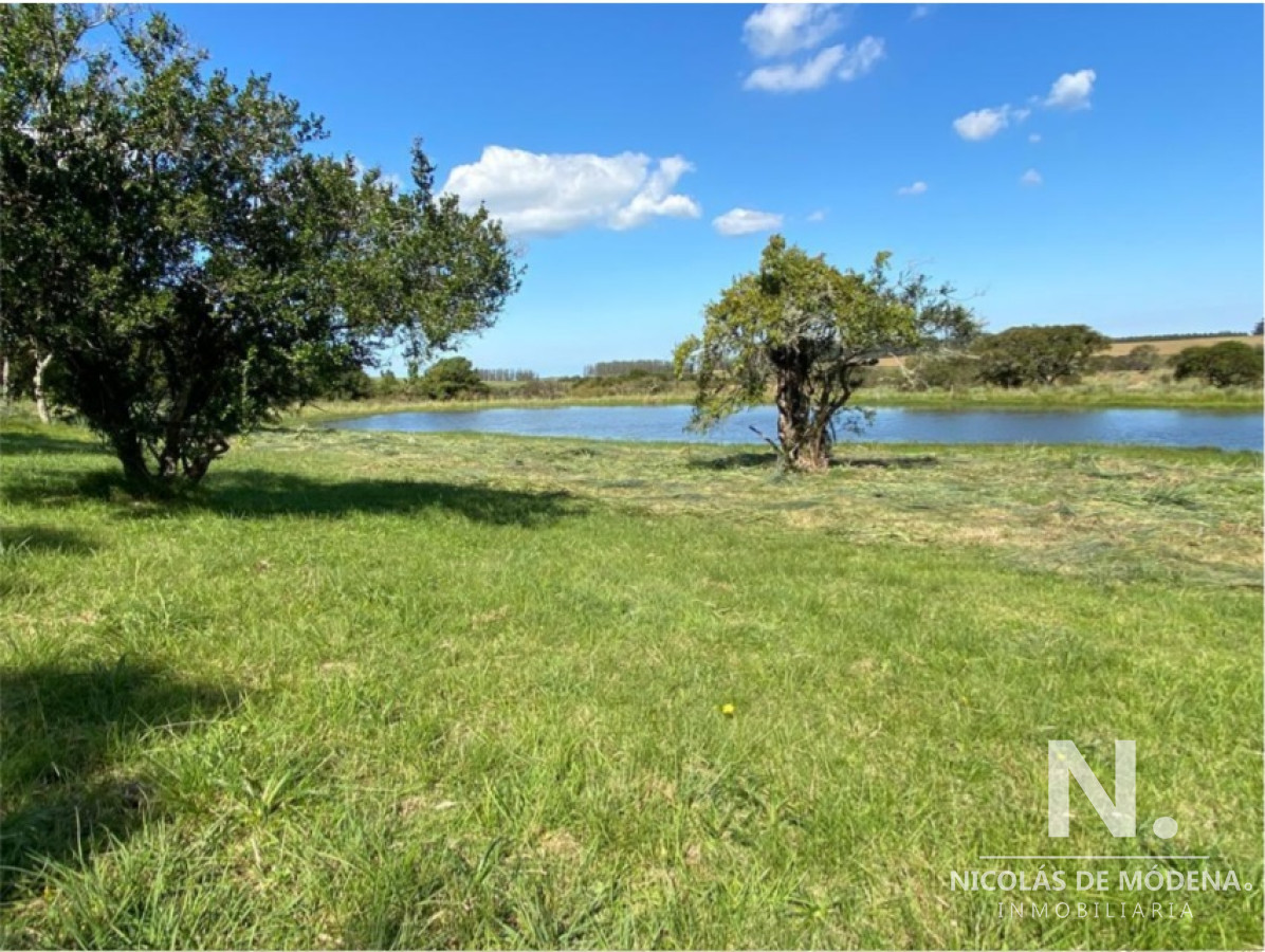 José Ignacio - GoPunta - Portal Inmobiliario de Punta del Este - Maldonado