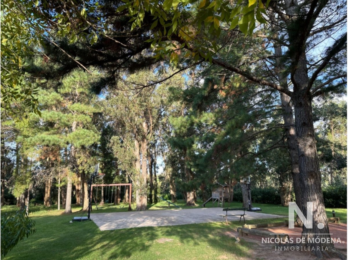 La Pataia - GoPunta - Portal Inmobiliario de Punta del Este - Maldonado