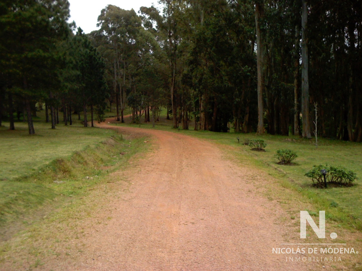 Punta Ballena - GoPunta - Portal Inmobiliario de Punta del Este - Maldonado