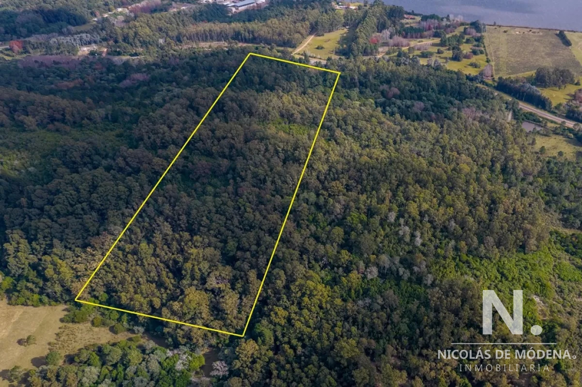 Laguna del Sauce - GoPunta - Portal Inmobiliario de Punta del Este - Maldonado
