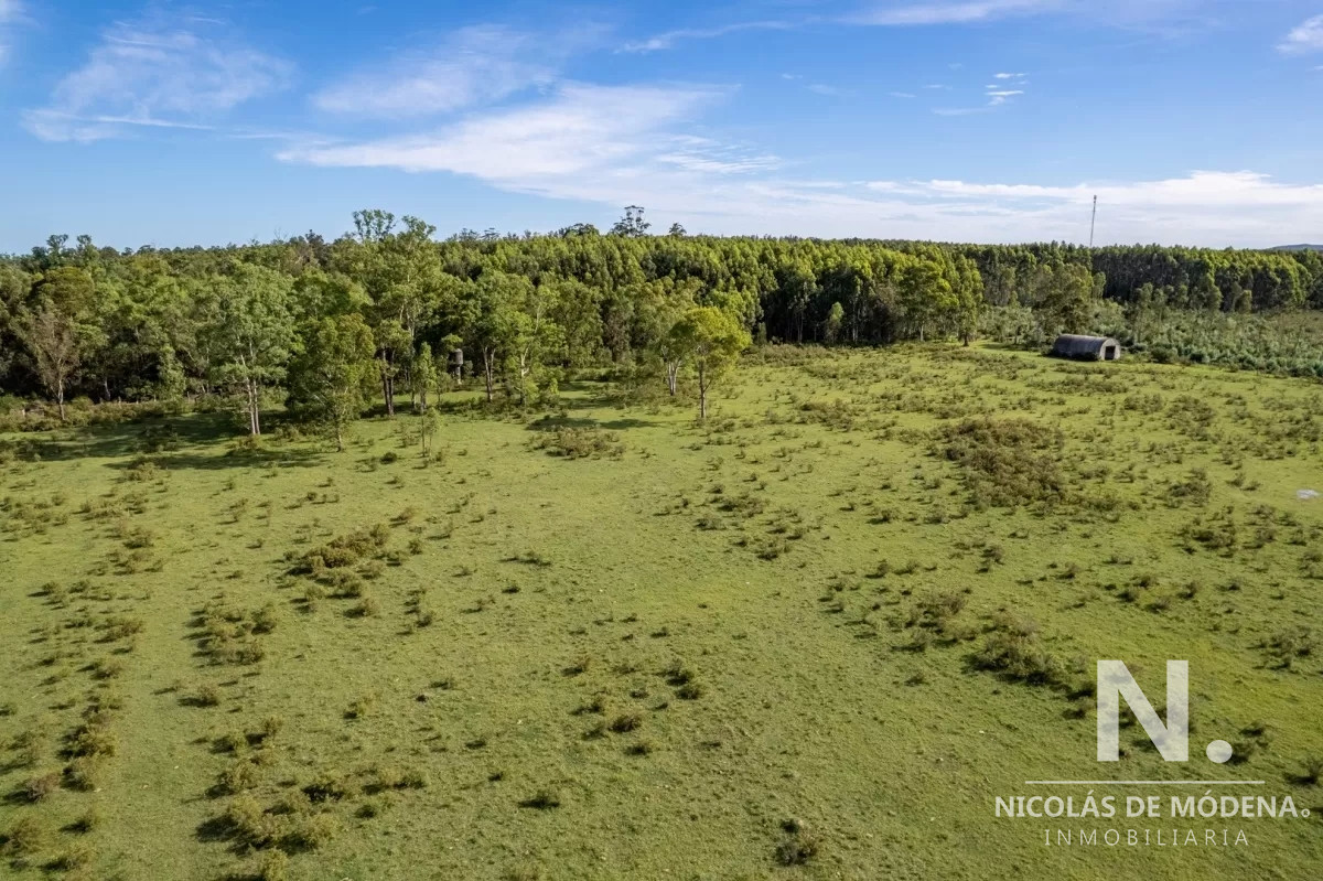 Laguna del Sauce - GoPunta - Portal Inmobiliario de Punta del Este - Maldonado