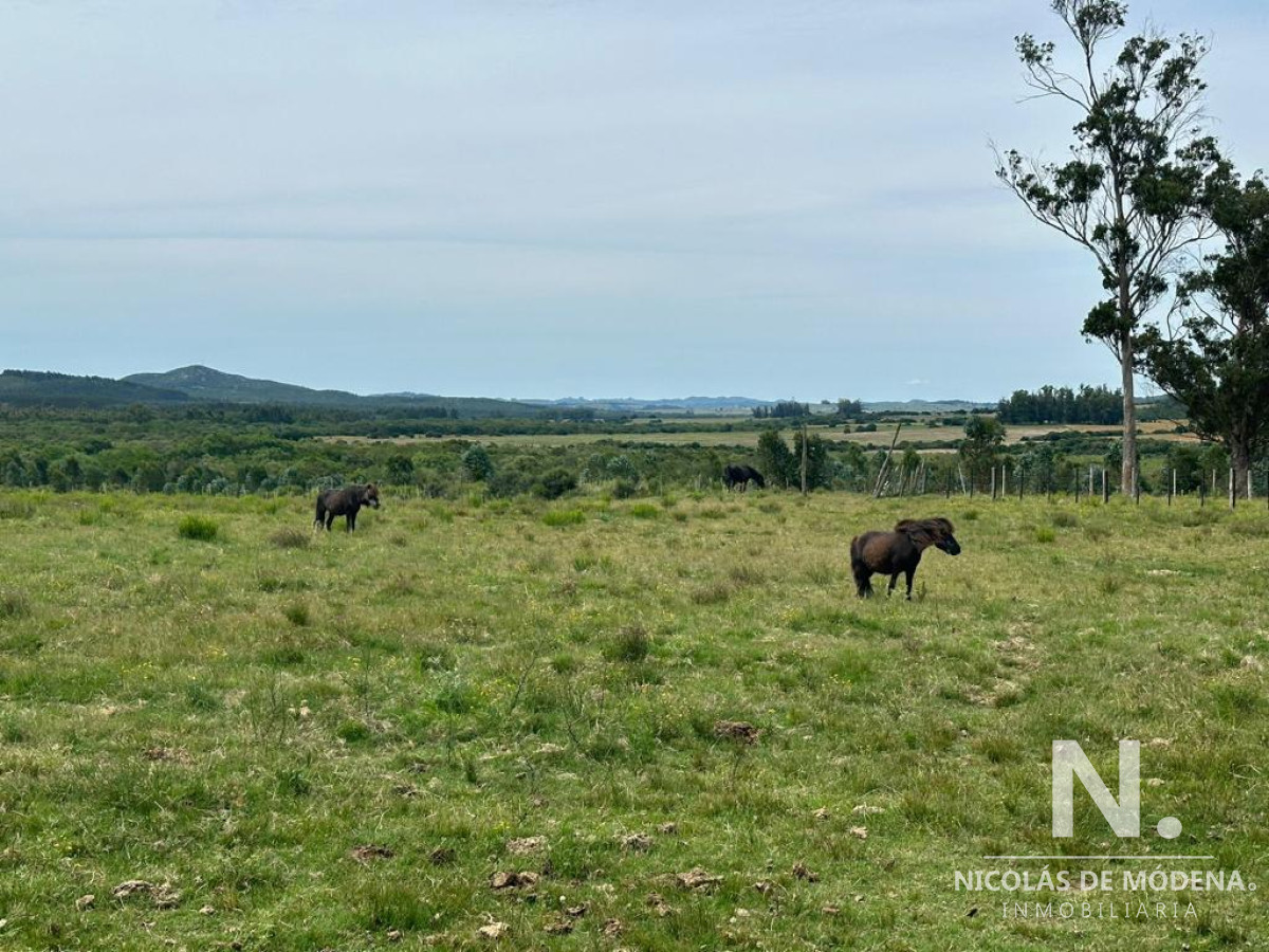 Pan de Azucar - GoPunta - Portal Inmobiliario de Punta del Este - Maldonado