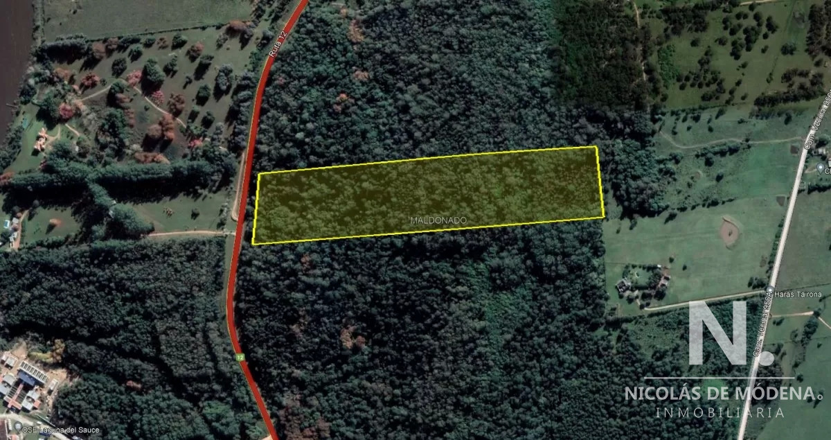 Laguna del Sauce - GoPunta - Portal Inmobiliario de Punta del Este - Maldonado