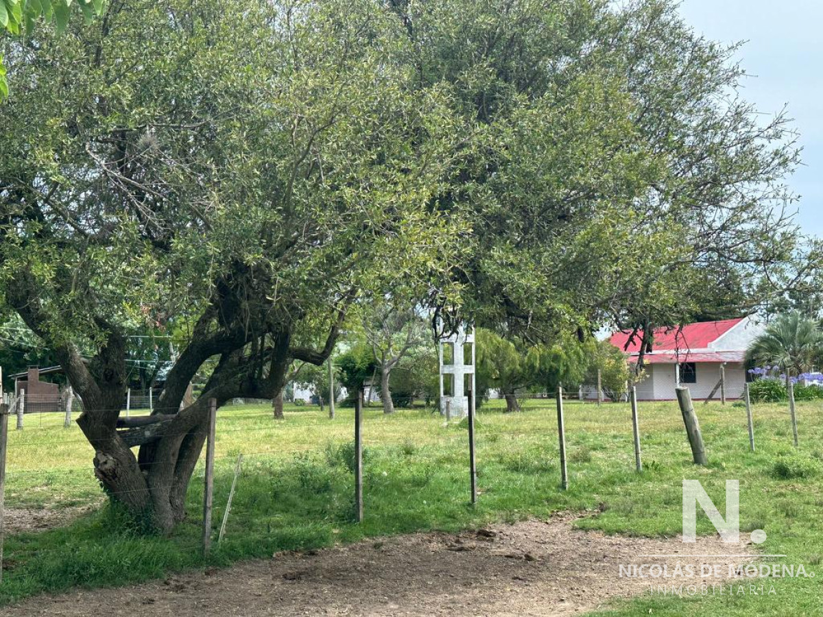 Pan de Azucar - GoPunta - Portal Inmobiliario de Punta del Este - Maldonado