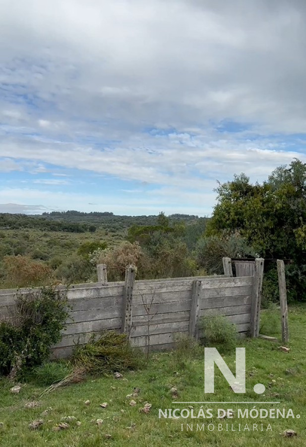 Aiguá - GoPunta - Portal Inmobiliario de Punta del Este - Maldonado