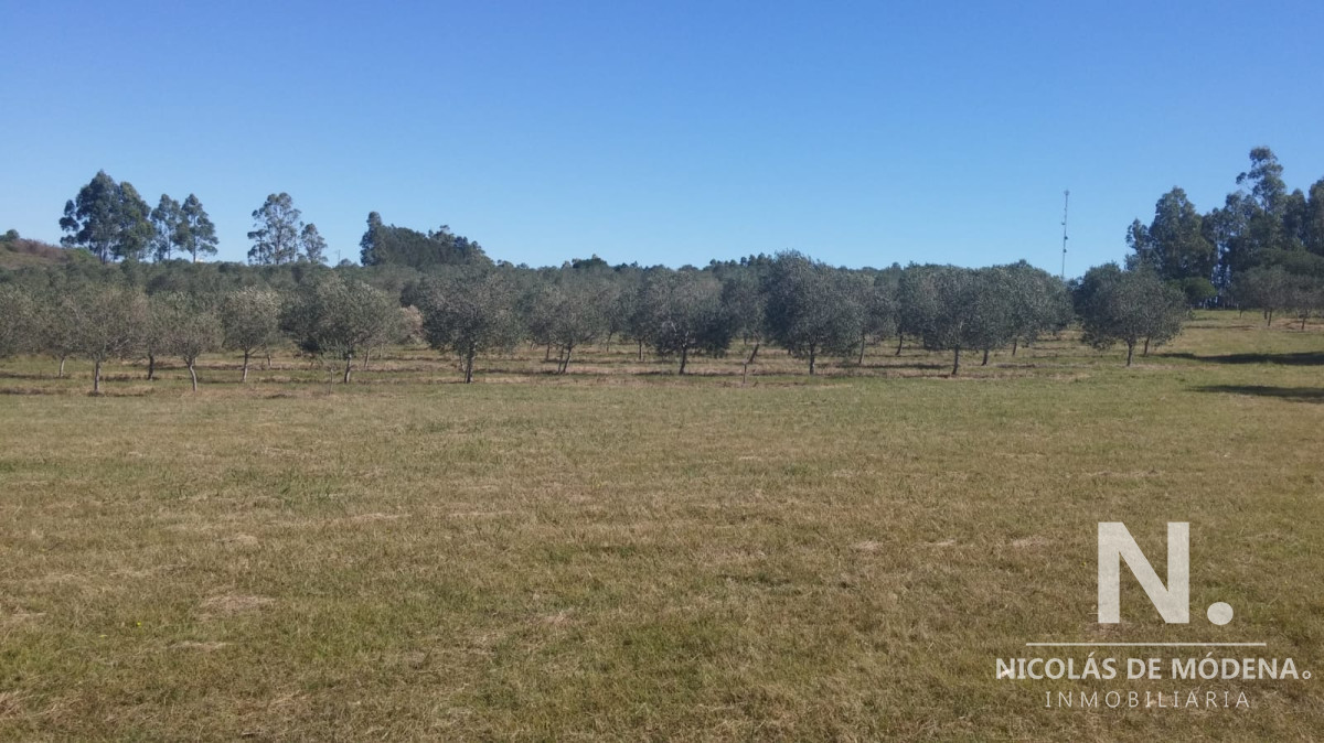Zona Rural - GoPunta - Portal Inmobiliario de Punta del Este - Maldonado