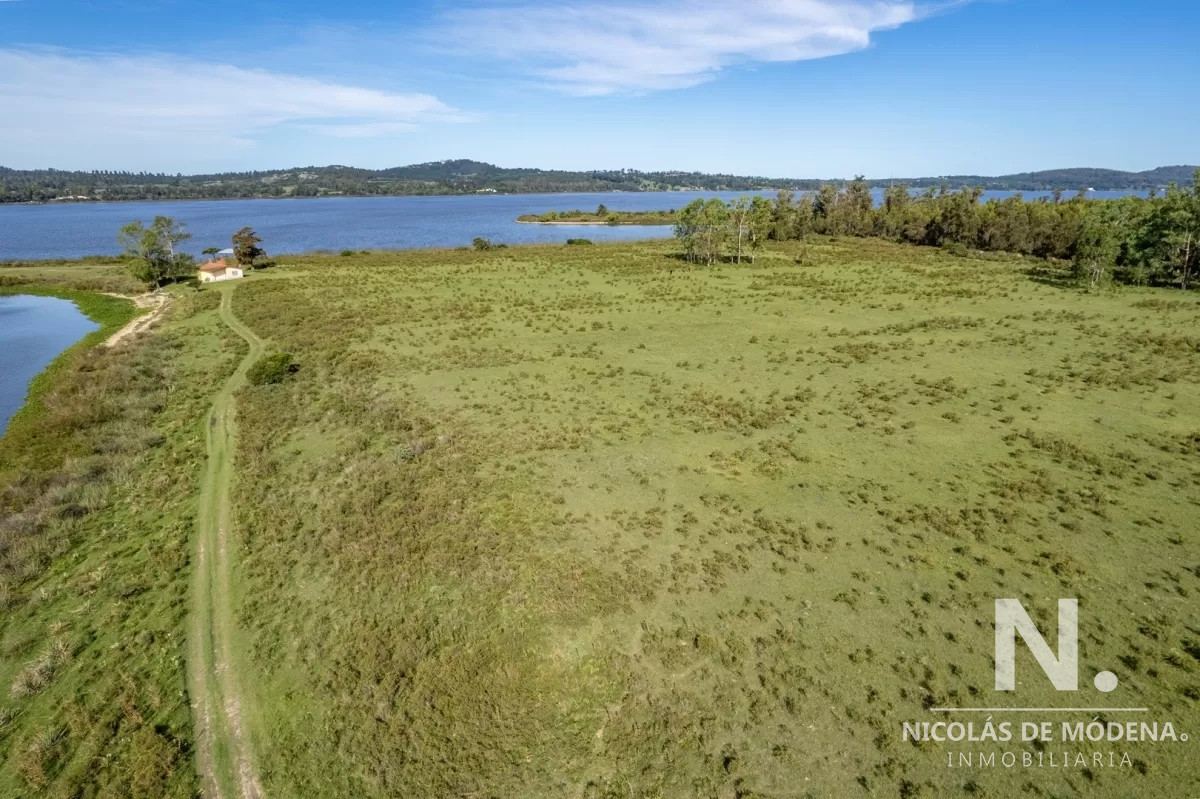 Laguna del Sauce - GoPunta - Portal Inmobiliario de Punta del Este - Maldonado