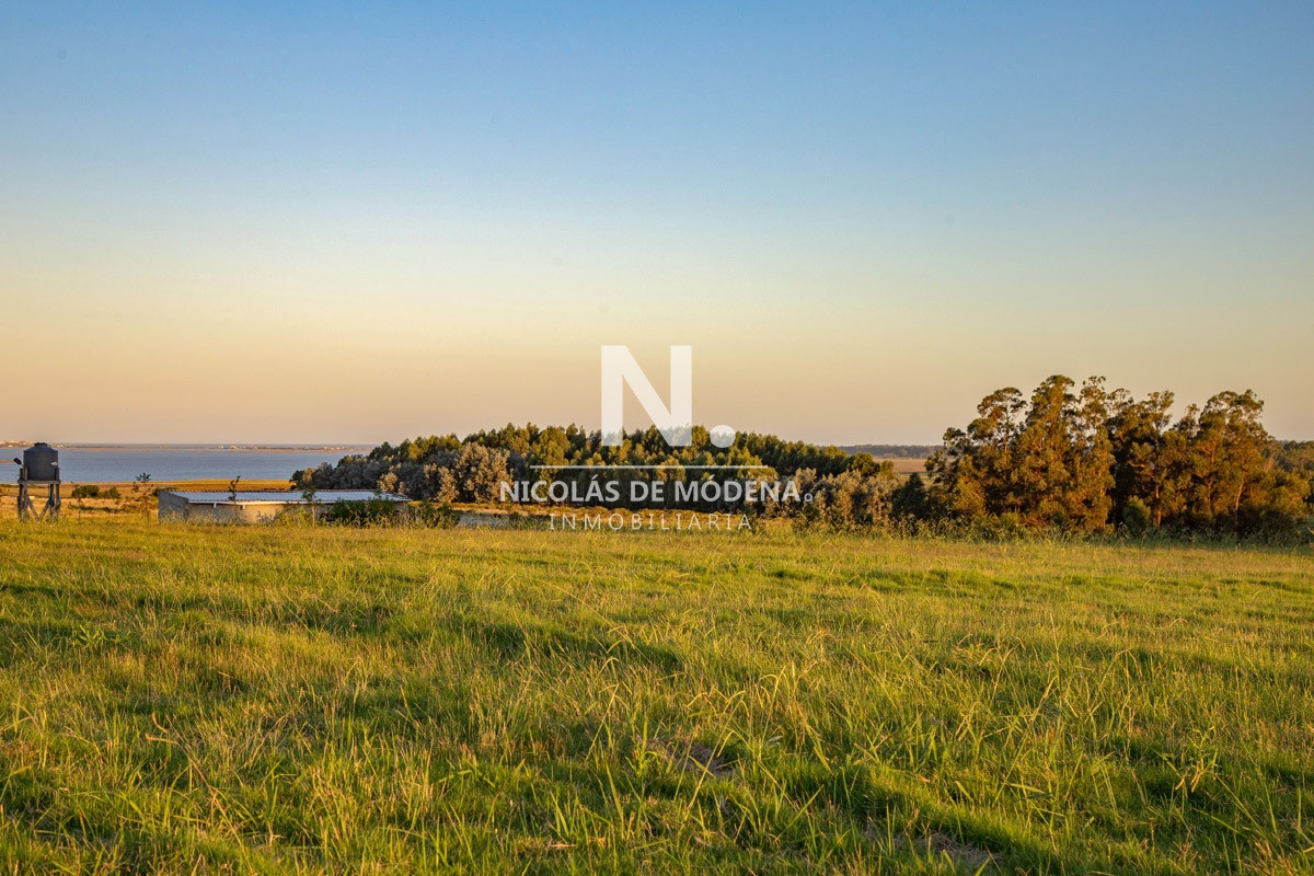 Eden Rock - GoPunta - Portal Inmobiliario de Punta del Este - Maldonado