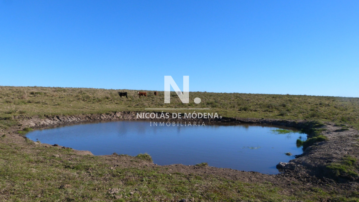 Chacra