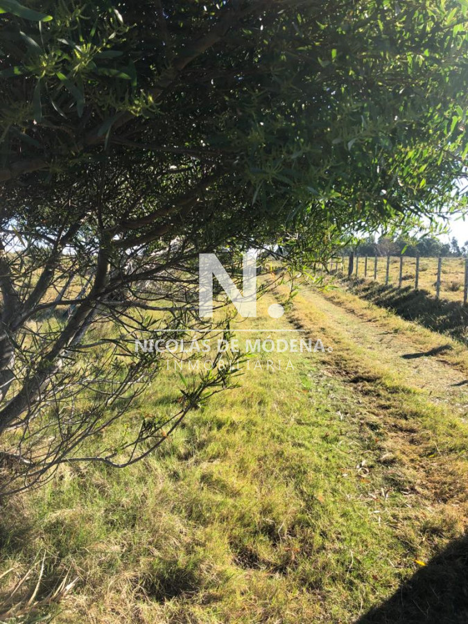 En venta Chacra a solo 8 km del puerto de Garzón. - GoPunta - Portal Inmobiliario de Punta del Este - Maldonado