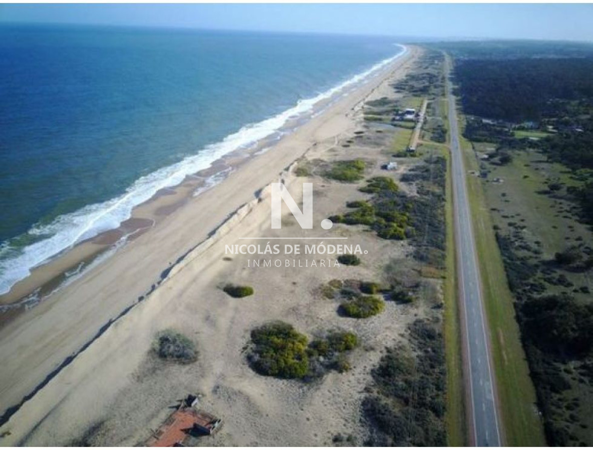 Punta del Este - GoPunta - Portal Inmobiliario de Punta del Este - Maldonado