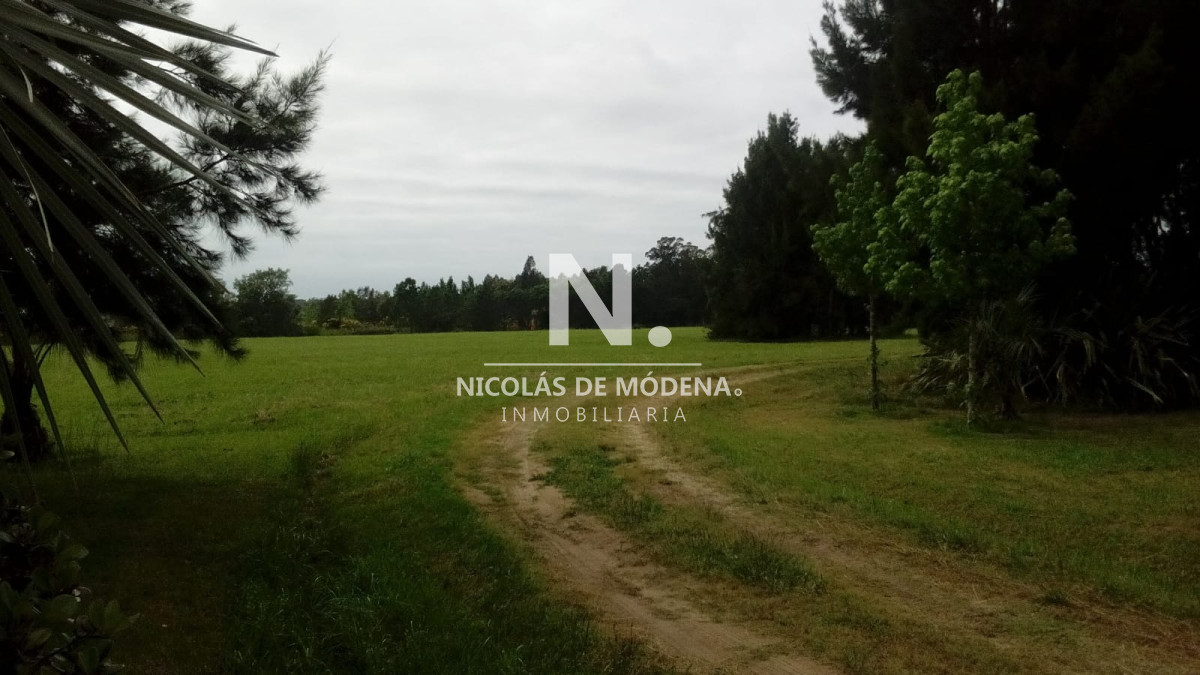 Chacra