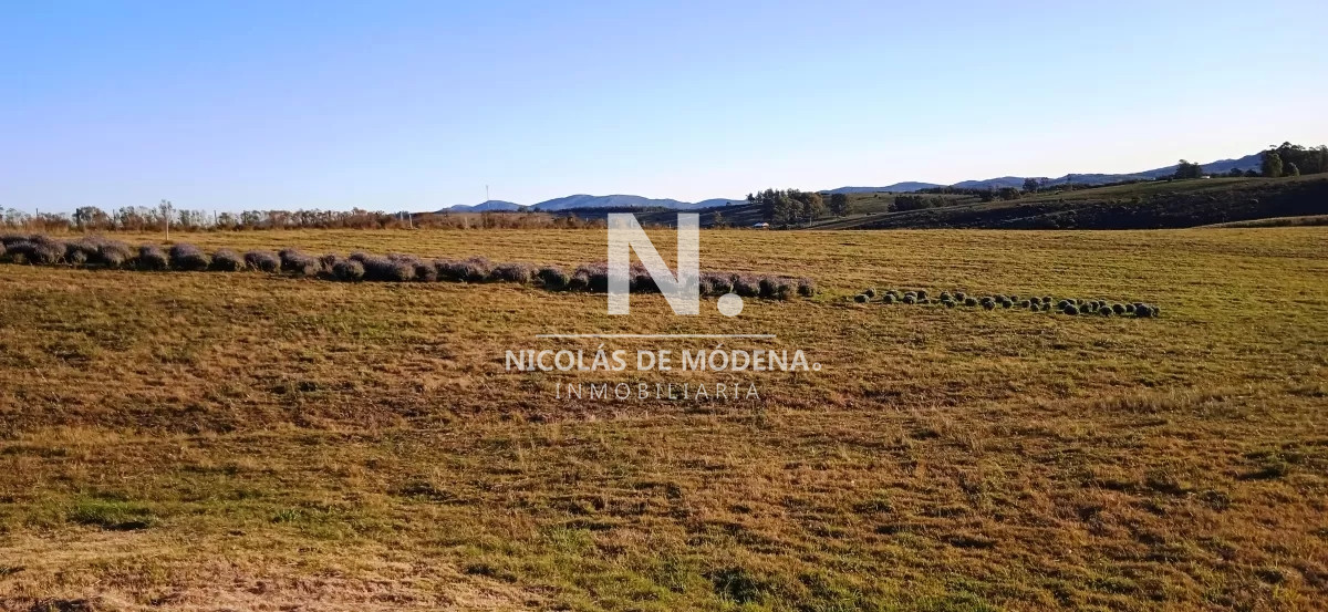 Chacra