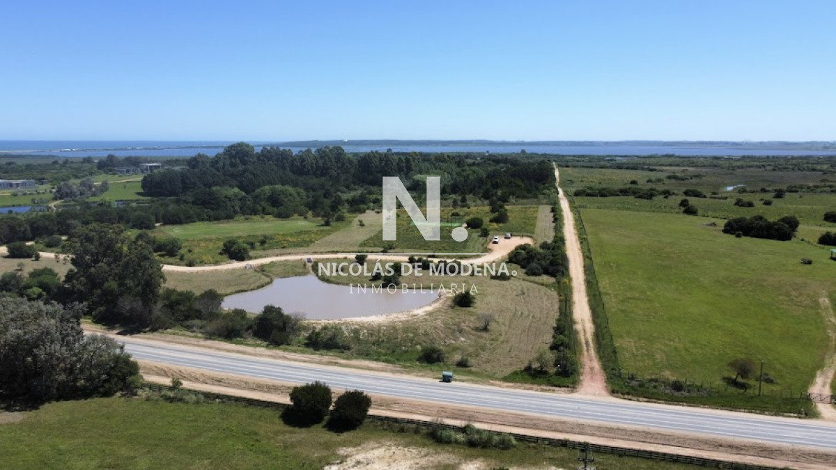 Medellin - GoPunta - Portal Inmobiliario de Punta del Este - Maldonado