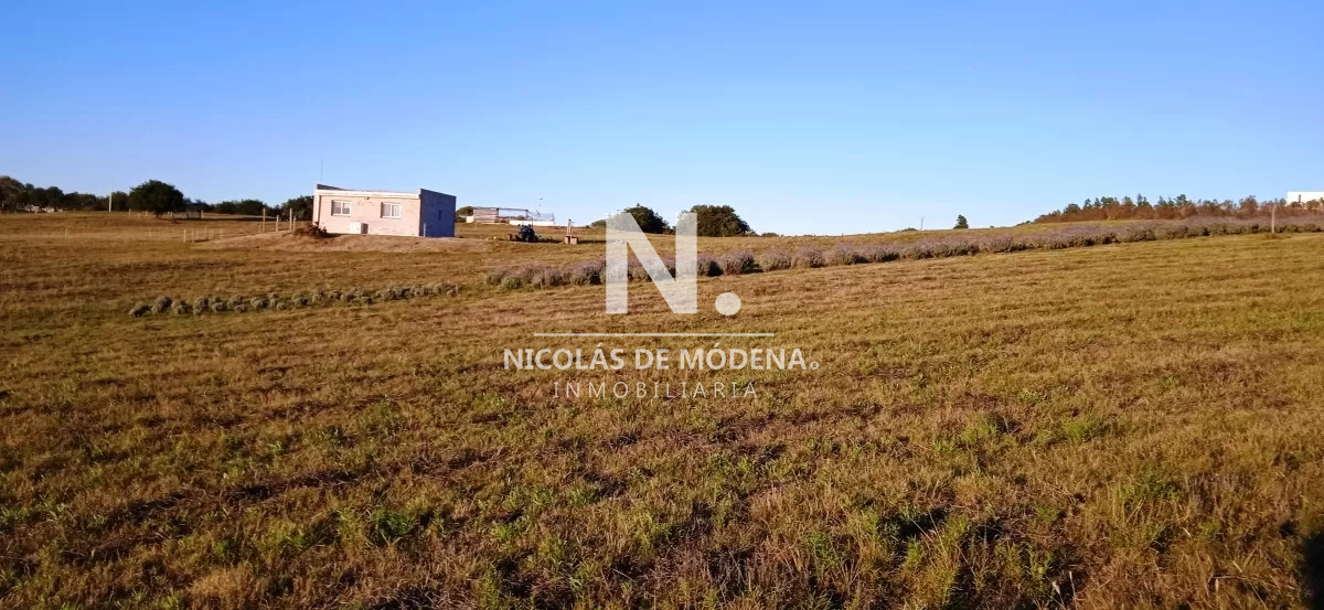 Chacra