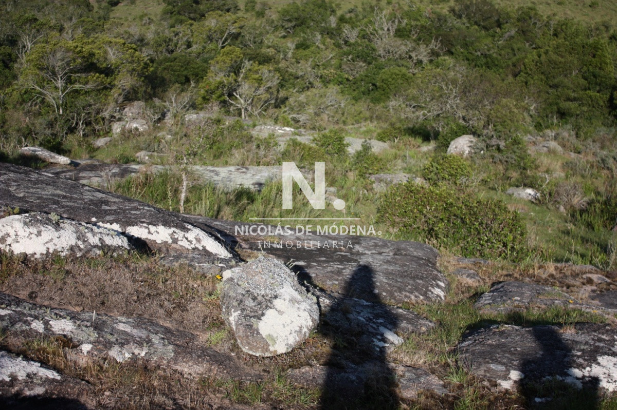 Chacra