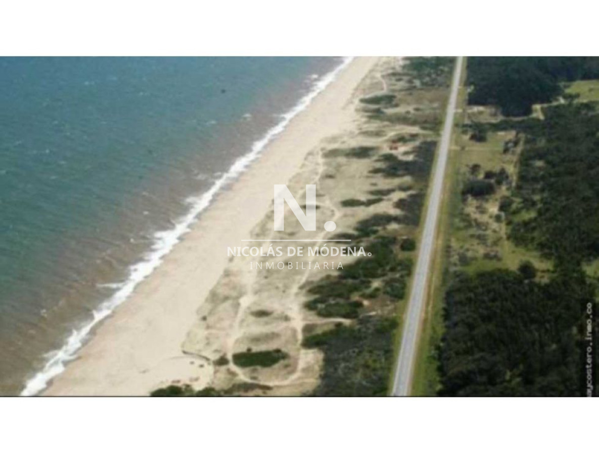 Punta del Este - GoPunta - Portal Inmobiliario de Punta del Este - Maldonado