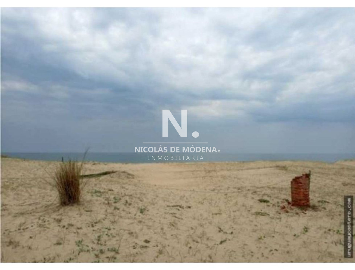 Punta del Este - GoPunta - Portal Inmobiliario de Punta del Este - Maldonado