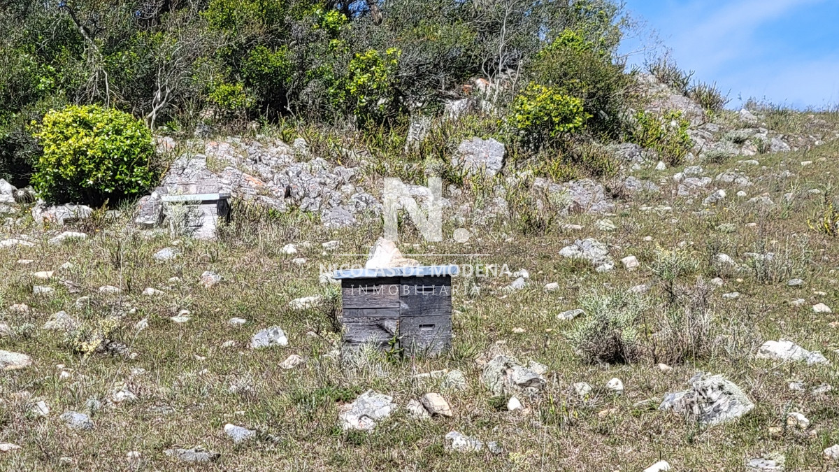 Chacra