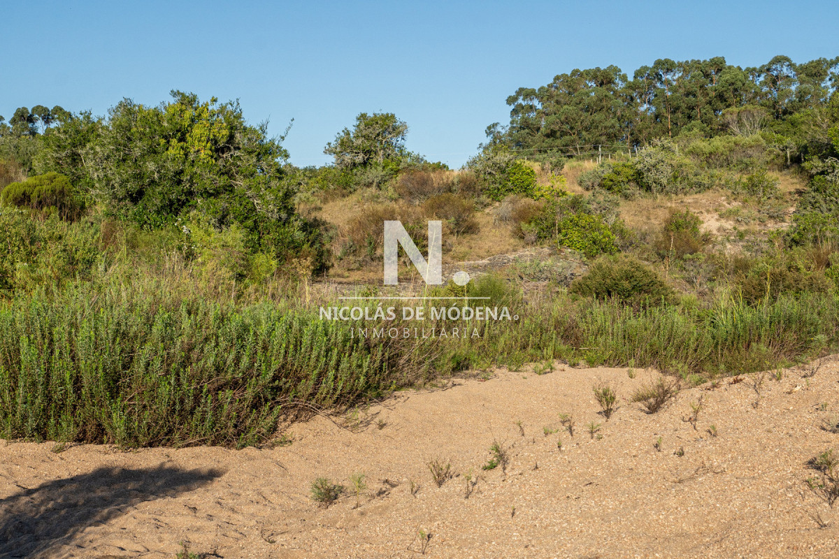 Garzon - GoPunta - Portal Inmobiliario de Punta del Este - Maldonado